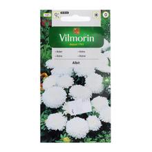 Astra ČÍNSKÁ trpaslík albi 0,5g - Květiny letničky | FLORASYSTEM