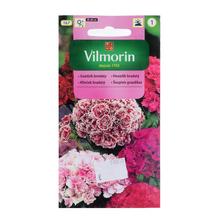 Hřebíčku bradatý PLNÝ 0,5g - FLORASYSTEM