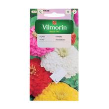 CÍNIA DÁLIOVITÁ MIX 1g - Květiny letničky | FLORASYSTEM