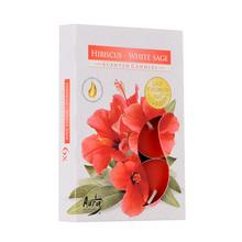 ČAJOVÉ VOŇAVÉ/6 HIBISKUS+B.ŠALVIA - FLORASYSTEM