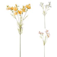 KOSMOS KS MIX 3F - Luční květy | FLORASYSTEM