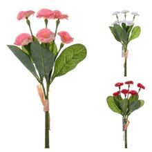 SUPER CENA! KYTICA BELLIS,ZELEŇ 3F 31cm - Fialka, primula | FLORASYSTEM