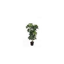 ZELEŇ SCHEFFLERA V ČREPNÍKU 90CM - Umělé stromy | FLORASYSTEM