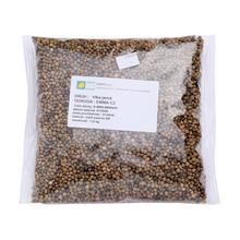 VIKA JARNÁ /EMMA,Hanka/ 1kg - Zelené hnojení | FLORASYSTEM