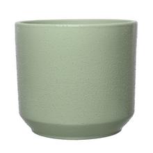 SUPER CENA OBAL SABBIATO VERDE V160/pr.190 - FLORASYSTEM
