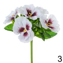 Kytica sirôtky v rôznych farbách.