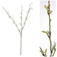 Větvemi Vrba 80CM - FLORASYSTEM