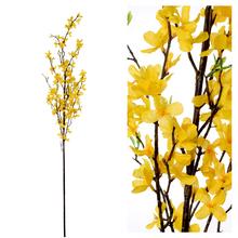 KONÁR ZLATÝ DÁŽĎ ŽLTÝ 124CM - Zlatý déšť | FLORASYSTEM