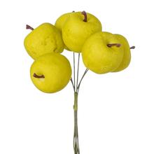 ZÁPICH JABĹČKA ZELENÉ /6 15CM - Plody podzimní | FLORASYSTEM