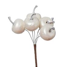 ZÁPICH JABĹČKA BIE. PERLEŤ /3 12CM - Plody vánoční | FLORASYSTEM