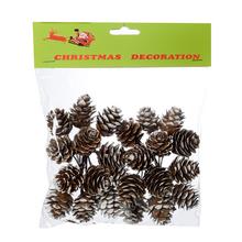 ŠIŠKY V SÁČKU S/24 BIELE - Plody vánoční | FLORASYSTEM