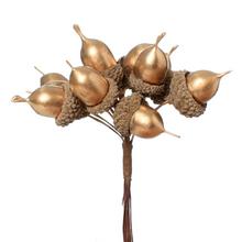 ZÁPICH ŽALUDE ZLATÉ X12 3X12CM - FLORASYSTEM