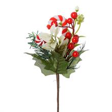 ZÁPICH TUJA, ČERV. BOBULKY, LÍZATKÁ, ZELEŇ 24CM - Bobule červené | FLORASYSTEM