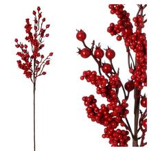 ZÁPICH ŠÍPKY, BOBULKY ČERVENÉ 65CM - Bobule červené | FLORASYSTEM