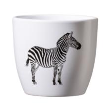 OBAL SAFARI ZEBRA 8CM - Obal vzorovaný | FLORASYSTEM