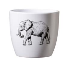 OBAL SAFARI SLON 8CM - Obal vzorovaný | FLORASYSTEM