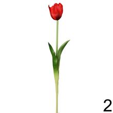 KS TULIPÁN 5F 47cm - Foto1