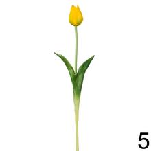 KS TULIPÁN 5F 47cm - Foto4