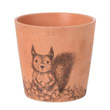 AKCIA OBAL VEVERIČKA 14CM - Obal vzorovaný | FLORASYSTEM