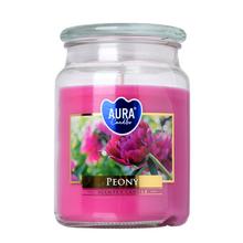 VOŇ.V SKLE S VRCHN.PIVONIA 500GR/snd99-157/ 15cm - FLORASYSTEM