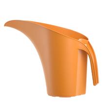 SUPER CENA KRHLA BELEM CURRY 36X15XV25/2L - FLORASYSTEM