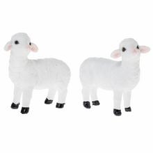 OVEČKA POLY 8CM BIELA MIX/2 - FLORASYSTEM