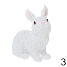 Biele zajačiky rôznych pozícií.