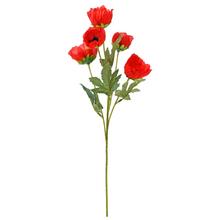 KYTICA MAKY x5 ČERVENÁ 50CM - Mák, makovice  | FLORASYSTEM
