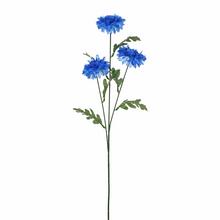 KS NEVADZA MODRÁ 56cm - Luční květiny | FLORASYSTEM