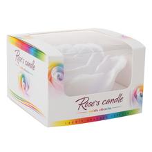 RUŽA NÍZKA DIODA BIELA - Ve skle | FLORASYSTEM