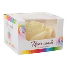 RUŽA NÍZKA DIODA ECRU - Ve skle | FLORASYSTEM