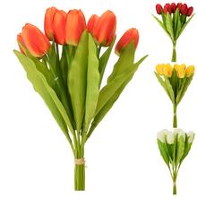 KYTICE TULIPÁNY 42cm MIX 6FARIEB X9 - Tulipán | FLORASYSTEM