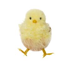 KURIATKO V ŠKRUPINE SEDIACE ŽL. 8CM - FLORASYSTEM