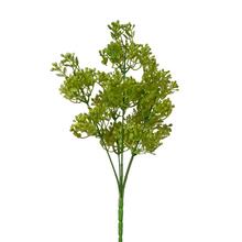 ZÁPICH BUPLEURUM BLEDO-ZELENÁ 30cm - FLORASYSTEM