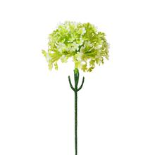ZÁPICH CESNAK BIE/ZELENÝ 20cm - Zápich bílý / žlutý | FLORASYSTEM