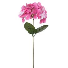 KS HORTENZIA, STOPKA RUŽOVÁ 44CM - FLORASYSTEM
