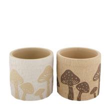 OBAL Planter cement 14x14x13cm C/2/ 103154 - FLORASYSTEM