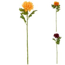 CHRYSANTEMA KS MIX B 65cm - Chryzantéma | FLORASYSTEM
