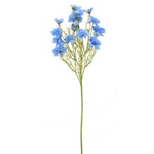 KS DELPHINIUM MODRÉ 75CM - FLORASYSTEM