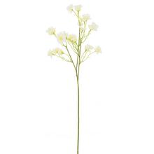 KONÁR NEVADZA BIELA 43CM - Luční květiny | FLORASYSTEM