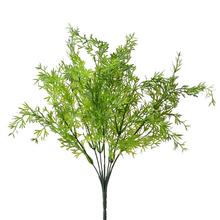 ZELEŇ ASPARAT ZELENÝ - FLORASYSTEM