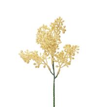 ZÁPICH ZELEŇ GULIČKY BÉŽOVÁ 22CM - Zápich bílý / žlutý | FLORASYSTEM