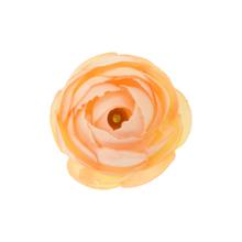 HLAVA RANUNKULUS 4CM BAL.12KS ORANŽOVÁ - FLORASYSTEM