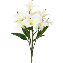 KYTICA ĽALIA x5 51CM BIELA - FLORASYSTEM