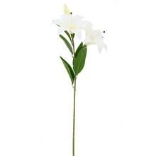 KS ĽALIA BIELA 80CM - Lilie | FLORASYSTEM