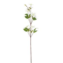 KONÁR KLEMATIS biely 88CM - Větev květ | FLORASYSTEM