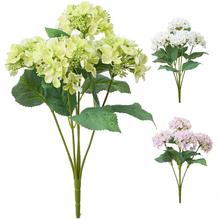 KS HORTENZIA MIX/3F 43cm - Hortenzie | FLORASYSTEM