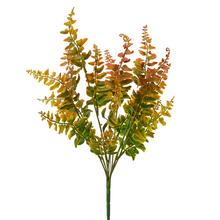ZÁPICH PAPRAĎ ORANŽOVÁ 40CM - List | FLORASYSTEM