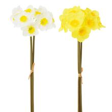 ZVAZOK NARCIS x3 39CM MIX 2F - FLORASYSTEM