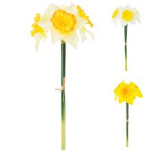 ZVAZOK NARCIS x3 39CM MIX 3F - FLORASYSTEM